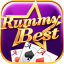rummy modern all icon