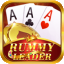 rummy cards set icon